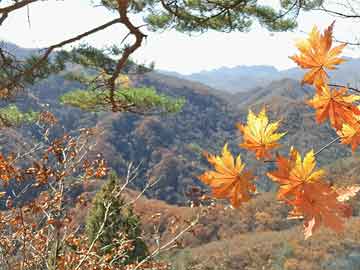 重慶醫(yī)保改革最新消息，邁向更全面、更可持續(xù)的未來